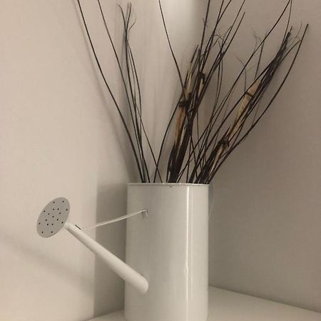 בולוניה Myroom Sui Portici מראה חיצוני תמונה